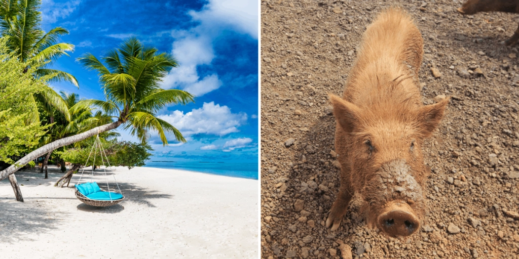 Hawaii, Strand, Gris