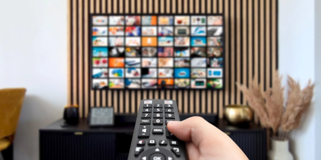 TV, Fjernsyn