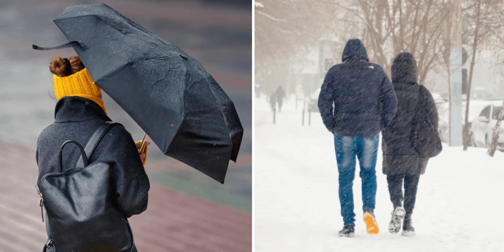 Höst, Vinter, Regn, Snö, Blåst, Paraply
