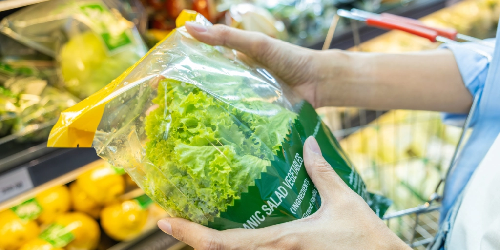 Salad, Lettuce, grocery