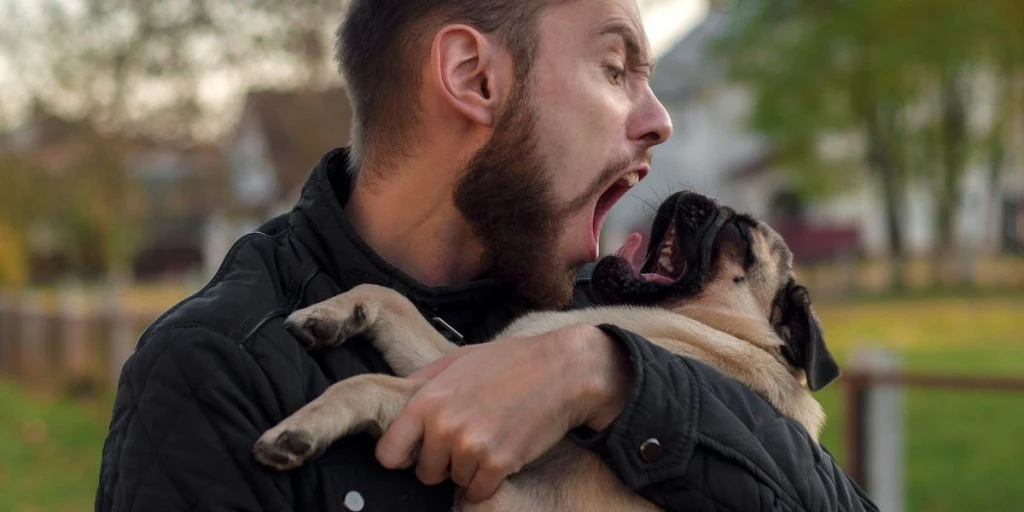 Man screaming at dog