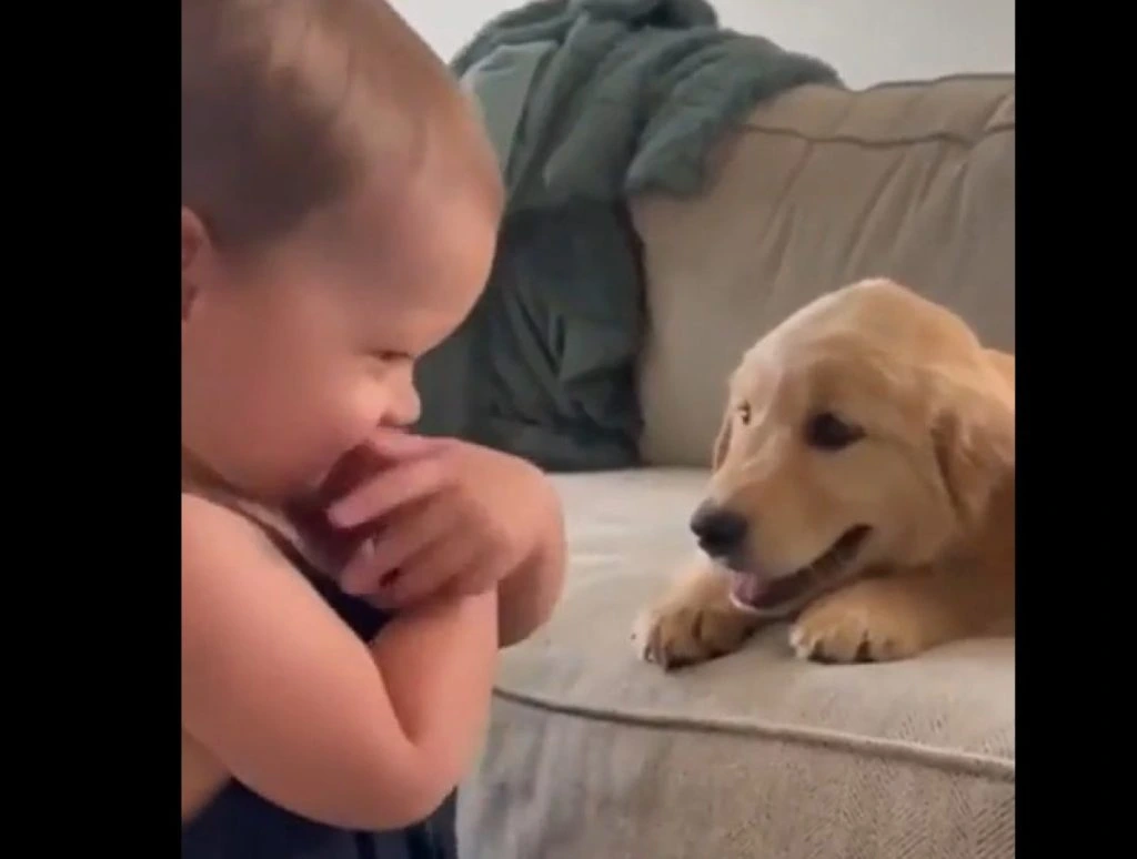 Lille pige kan slet ikke få nok af sin nye hundehvalp
