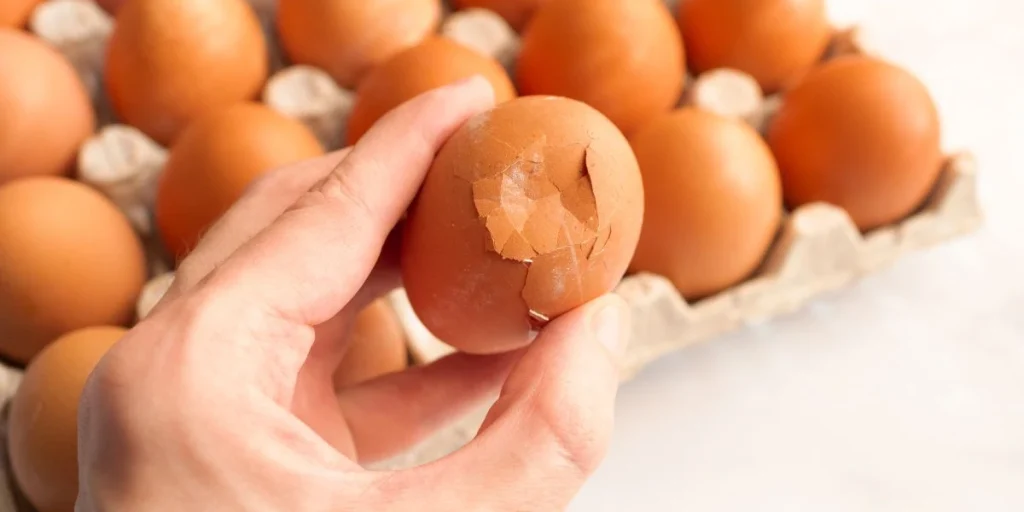 broken, cracked egg