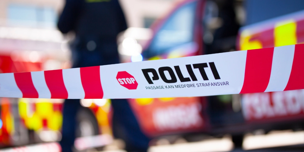 Dansk politi