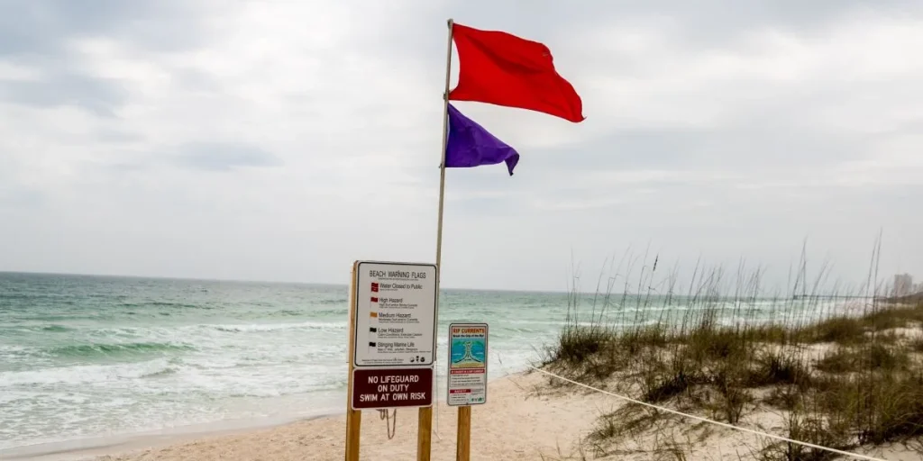 purple sign on beach