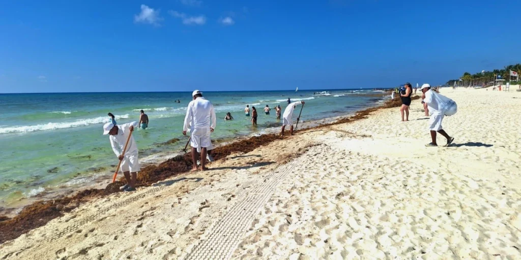 Turister flygter fra sandstrandene: Naturfænomen forårsager kvalmende stank