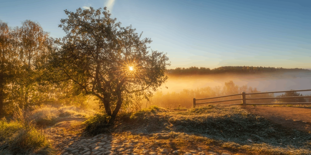Höst, Fall, Efterår, Herbst