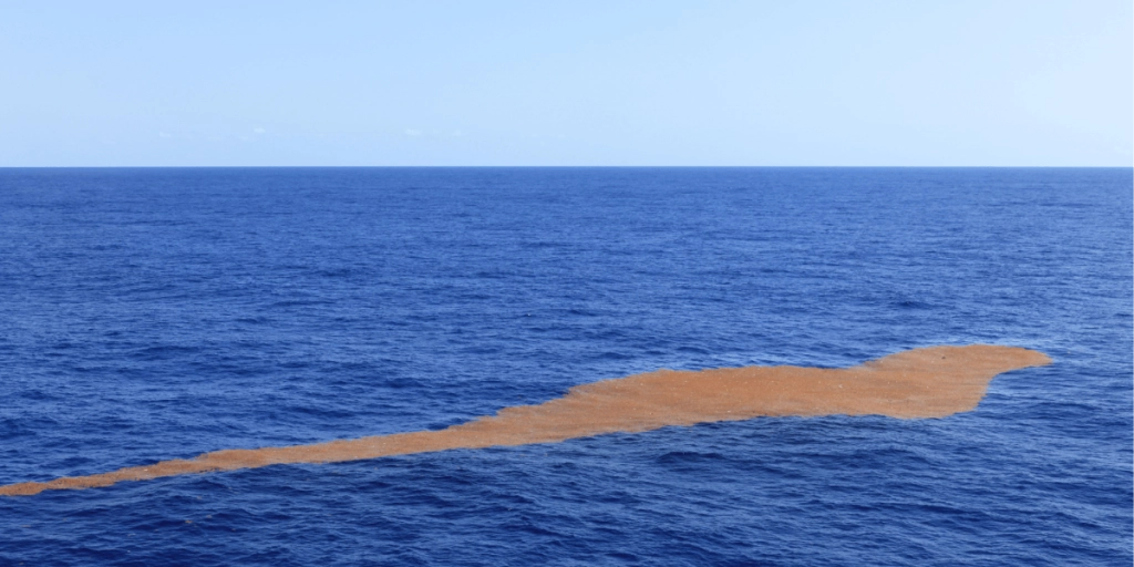 Hav, Ocean
