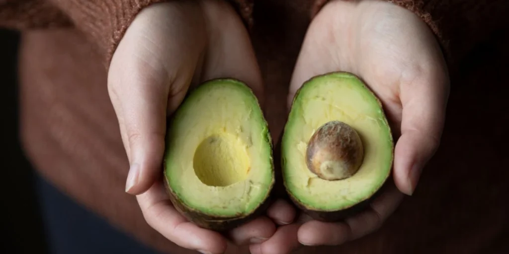 Avocado, Avokado
