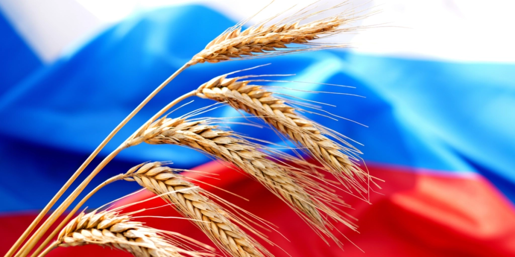Russia, grain, wheat, agriculture, food, supply chain