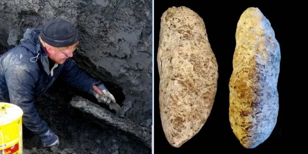 Henrik Madsen digging fossil poop feces shit