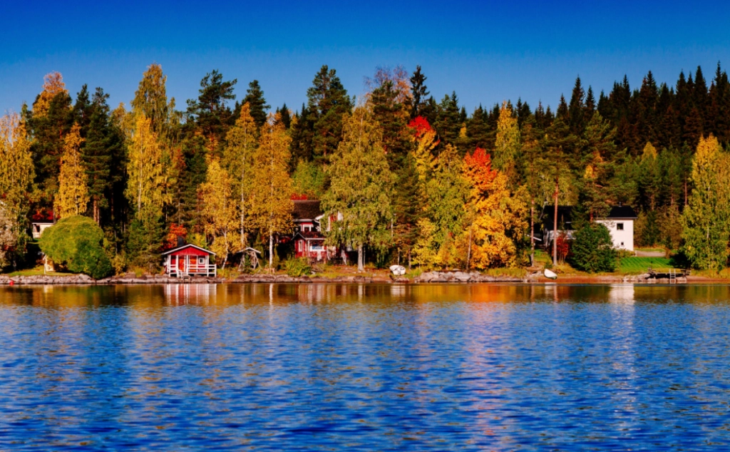 høst, efterår, autumn, fall, höst, hytte, stuga, sommerhus, ferie, vacation, gule blader,