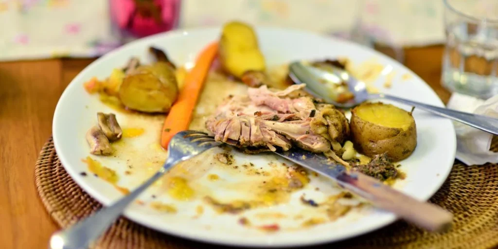 cutlery, plate, leftovers, food