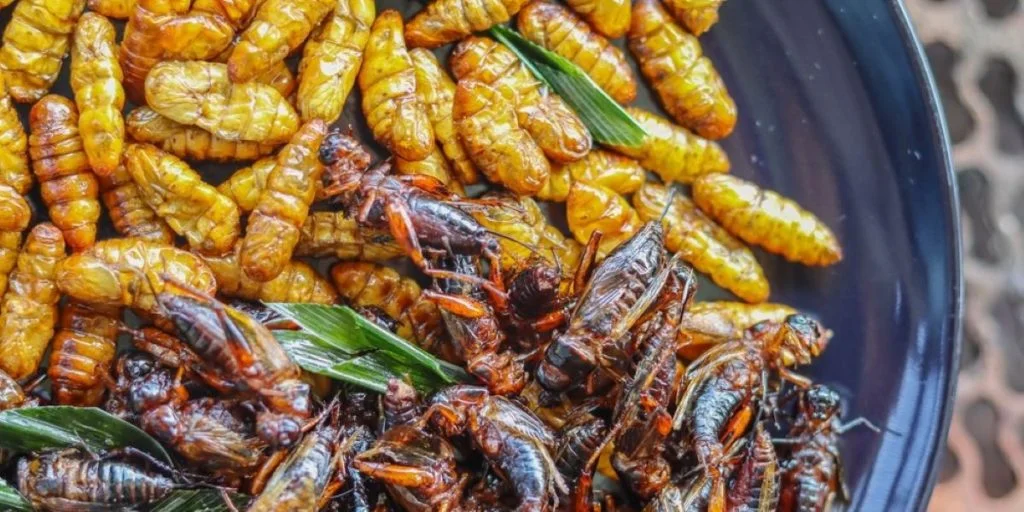 Skål med friturestegte insekter