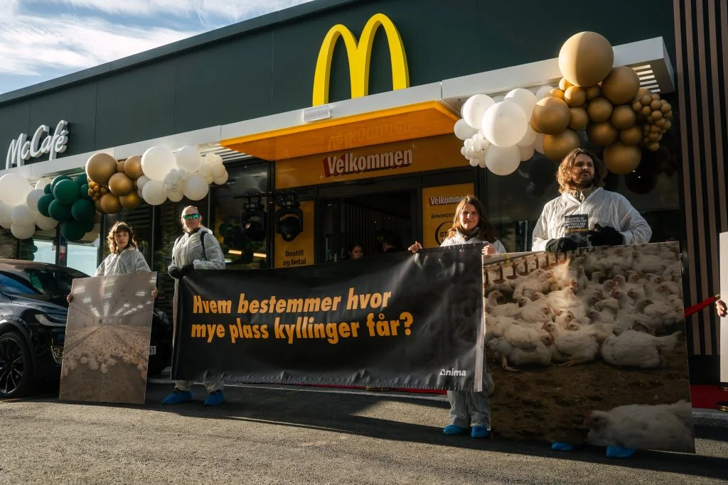 Elever droppet skolen for å aksjonere mot McDonald’s