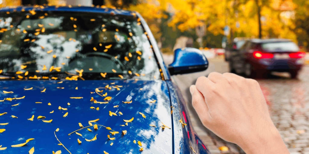 Därför bör du alltid knacka på motorhuven innan du startar bilen