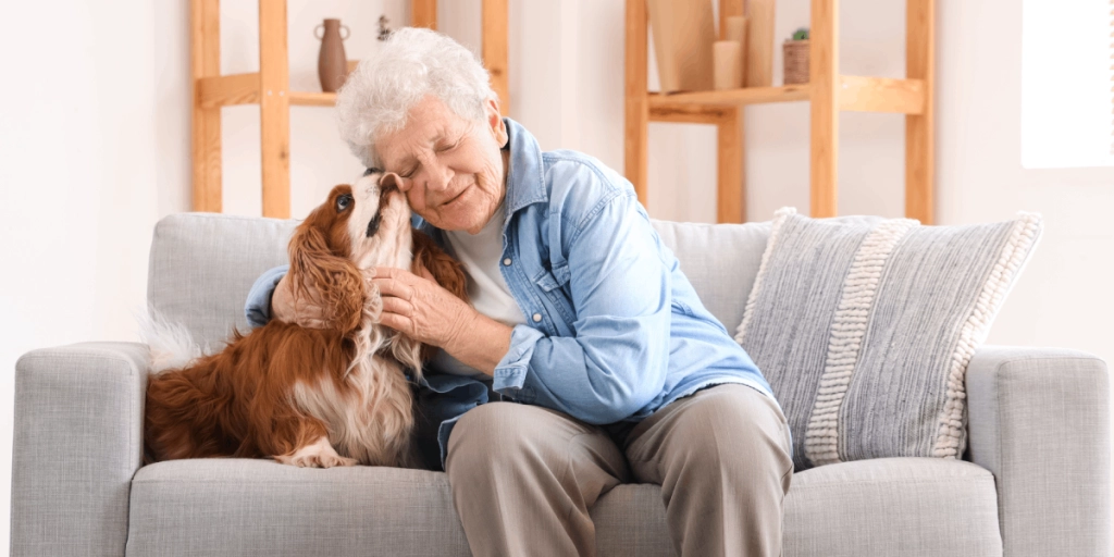 Hund, Pensionär