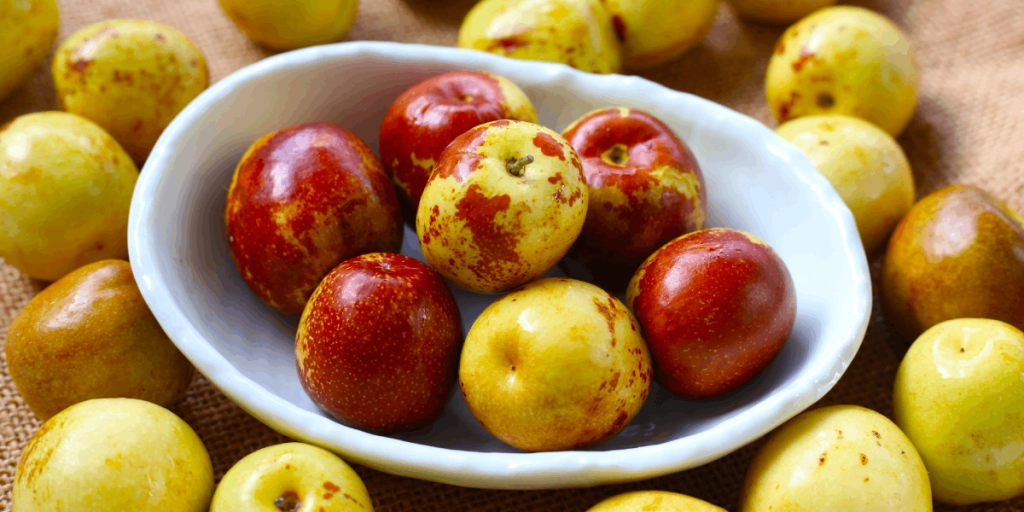 Jujube