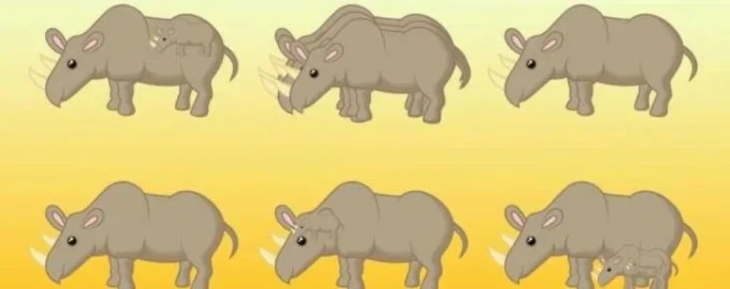 Dagens Hjernetrim: Hvor mange neshorn ser du på bildet? Bare genier klarer å telle riktig på 10 sekunder!