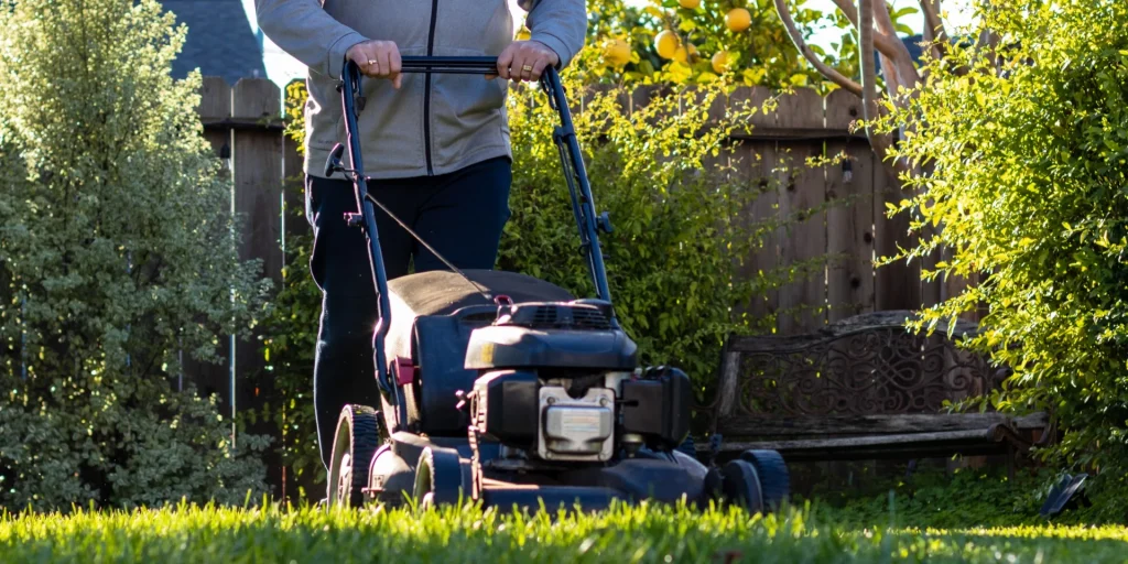 græs, gress, plen, glæsslåmaskene, plenklipper, gressklipper, lawn, garden. hage, have, trägård