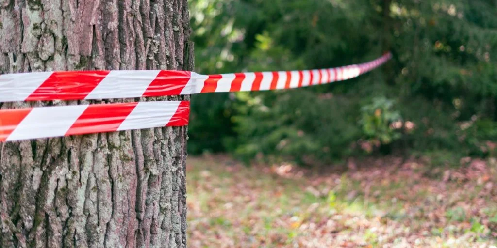 Brændt lig fundet i skov: Nu er 59-årig kendt skyldig i drab