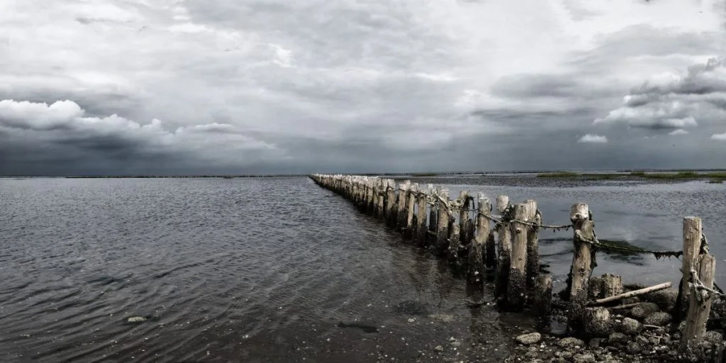 Mandø, Vadehavet