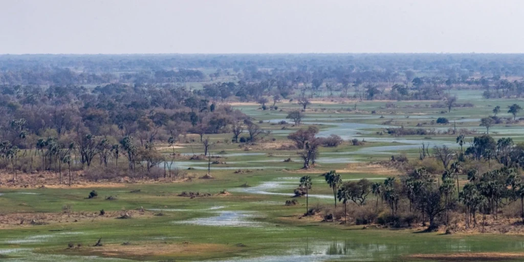 Okavango, Botswana